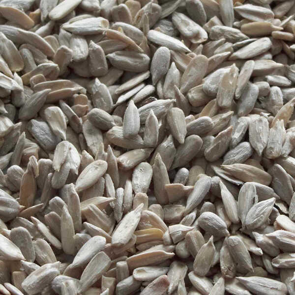 Sunflower Kernels Buy Sunflower, Sunflower kernels, confectionary Product on Baoqing Crown